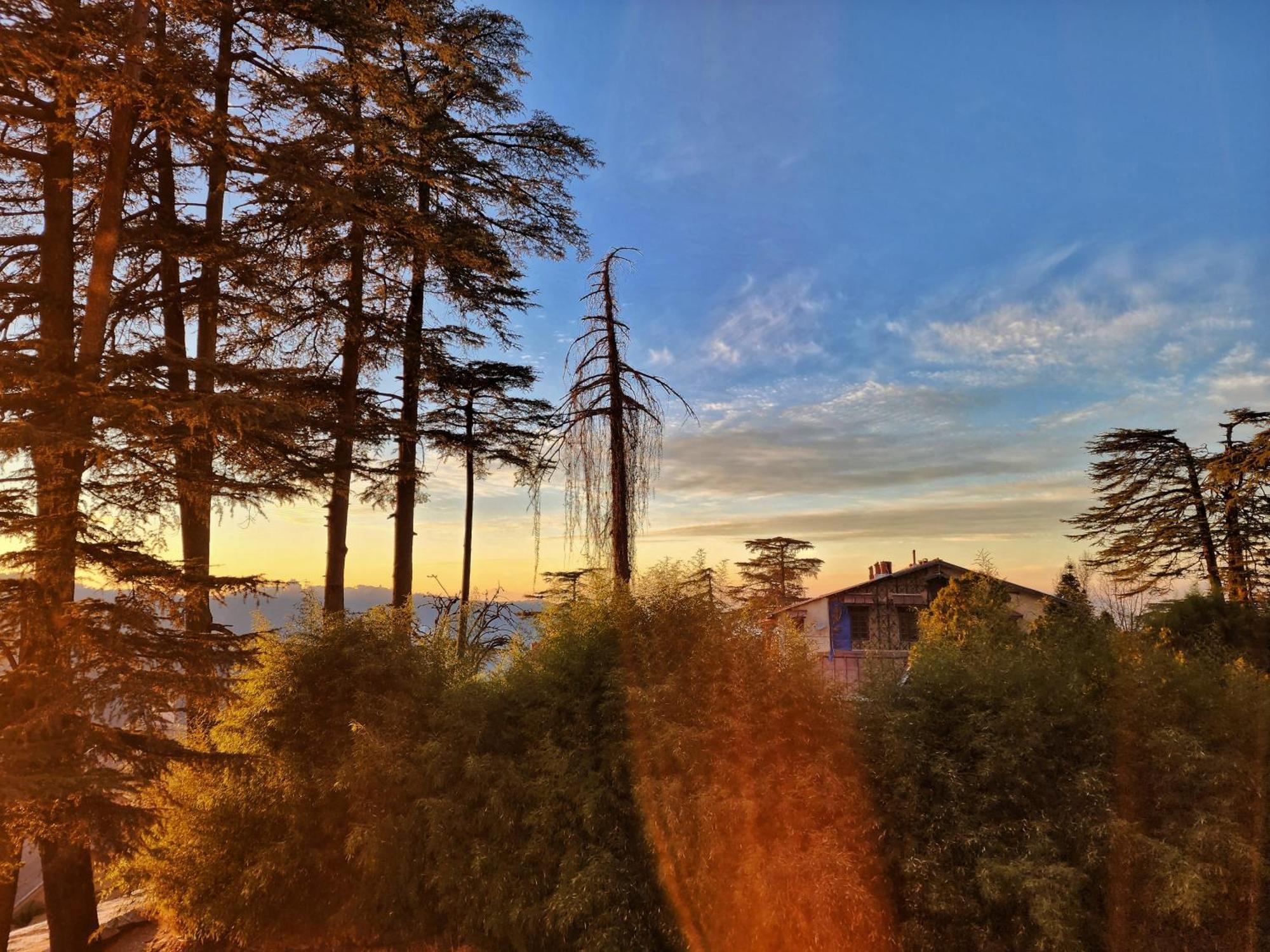 Hotel Pineview Shimla Bagian luar foto
