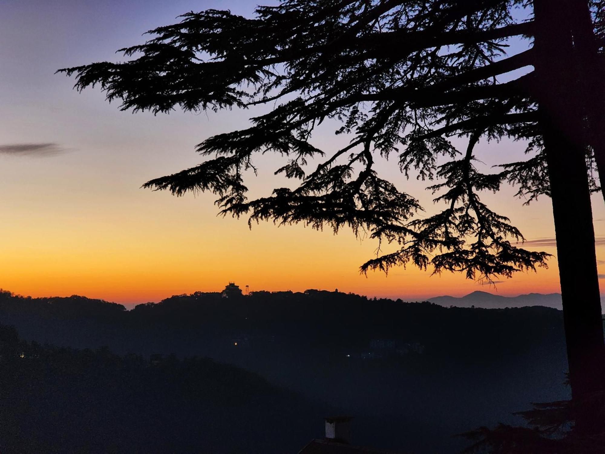 Hotel Pineview Shimla Bagian luar foto